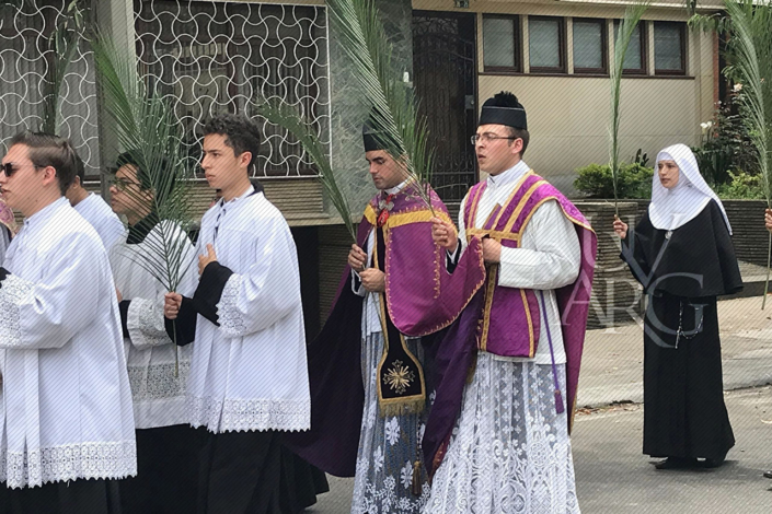 La Reforma de la Semana Santa: Domingo de Ramos