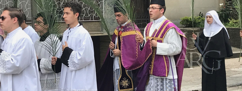 La Reforma de la Semana Santa: Domingo de Ramos